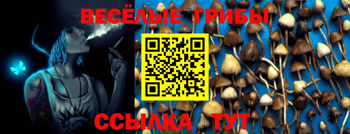 Галлюциногенные грибы Psilocybine cubensis  Вход с VPN  Можга  Галлюциногенные грибы прущие грибы 